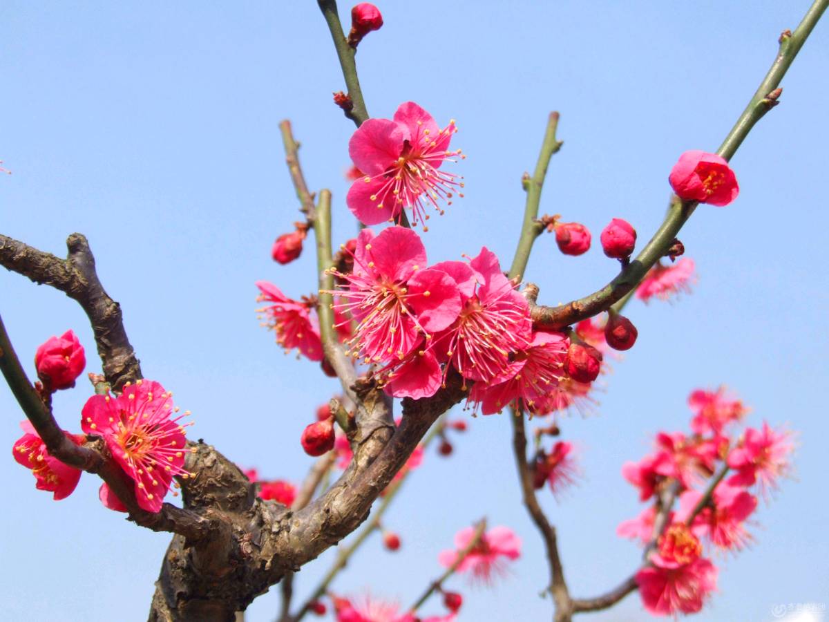 【北京头条】唐子岳诗歌专辑387期(图12)