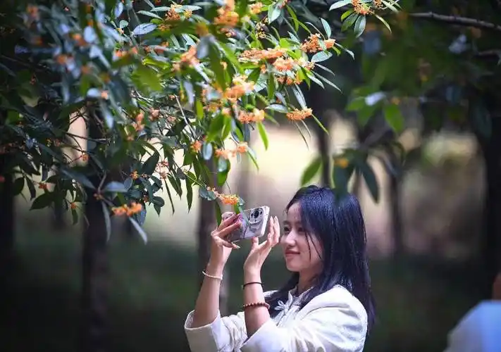【北京头条】吴志良现代诗歌专辑100期《寒露的薄壳》（图4）