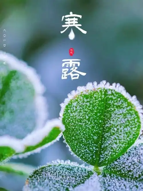 【北京头条】薛有毅诗歌专辑191期(图4)
