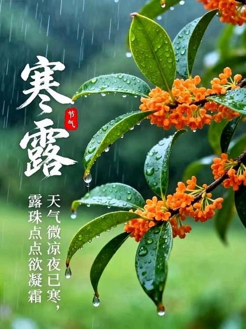 【北京头条】叶子诗歌专辑005期（图3）