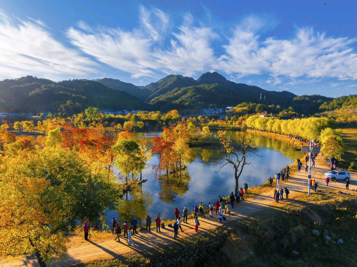 新洲诗阵 秋风落十月，诗意归流年（图10）
