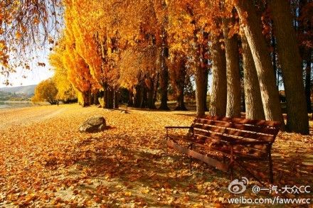 微型散文诗《秋尽，叶远行》（图3）