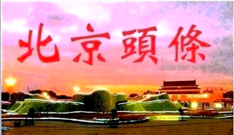 秋    菊   -文/李铁民-西银/北京头条