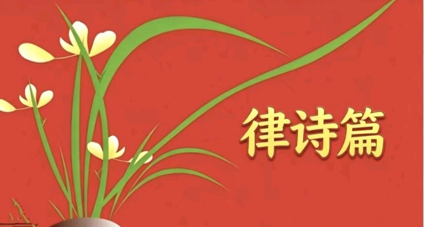 《知遇诗轩》隆重推出2026年第四期《重阳节》诗友合刊敬请雅鉴(图13)
