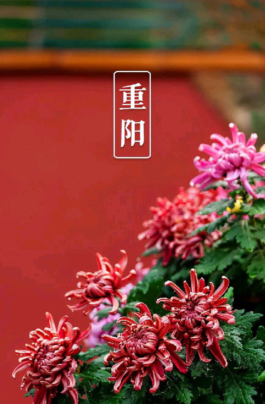 🇨🇳【中国诗人】第1822篇:《丙午重阳十咏》//文:韦祥升（图4）