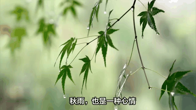 【北京头条】姜士彬诗歌专辑002期（图3）