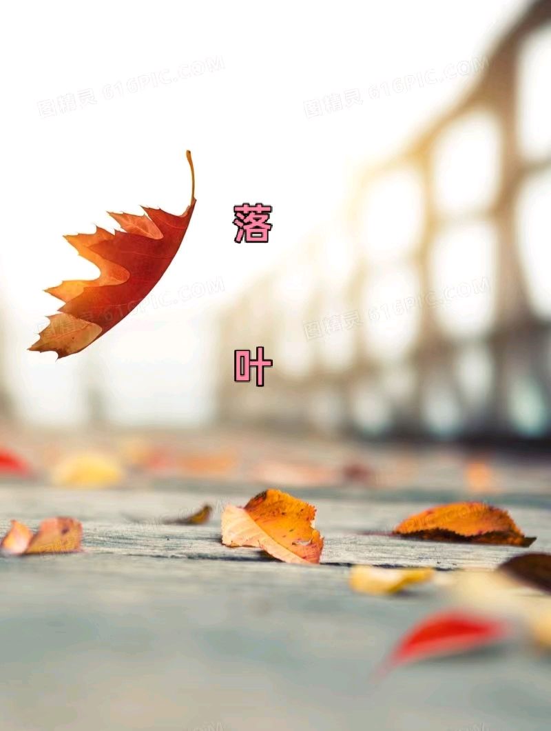 【诗生活】古韵飘香第372期（图11）