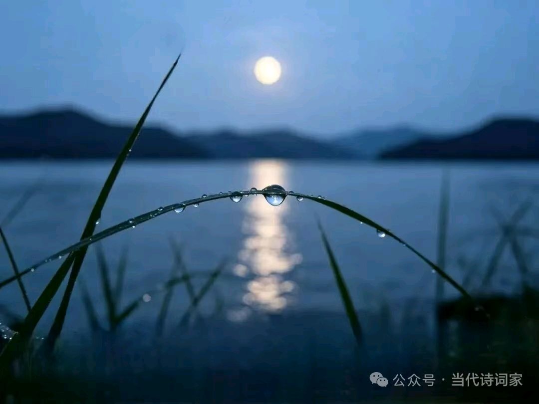【诗生活】古韵飘香第372期（图10）