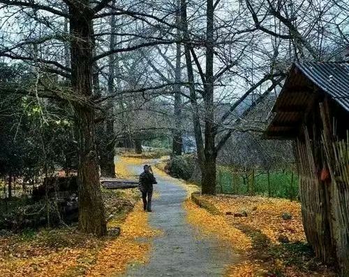 登始祖山四首