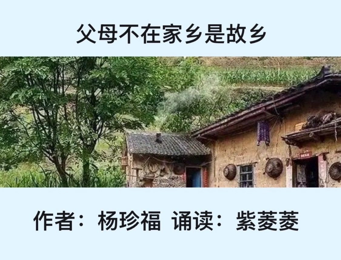 【卓然艺术联盟】父母不在家乡是故乡｜作者：杨珍福 诵读：紫菱菱（总3636期）（图5）