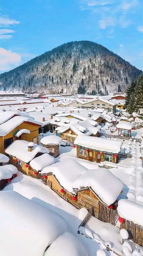 九合群94期：中国第一雪乡||巴彦诗协【1251】（图8）