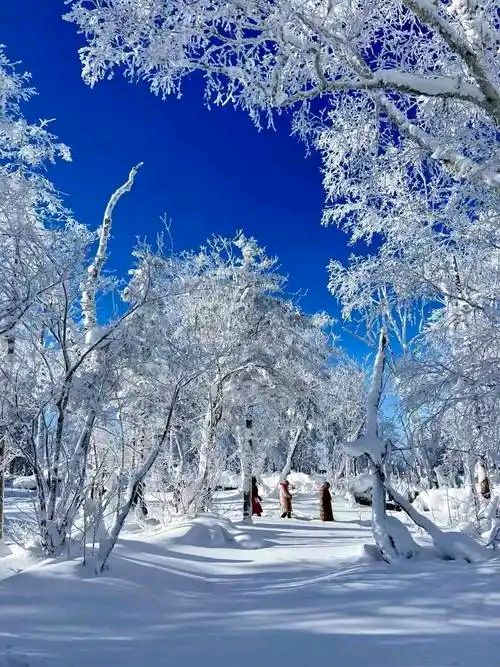 九合群94期：中国第一雪乡||巴彦诗协【1251】（图10）