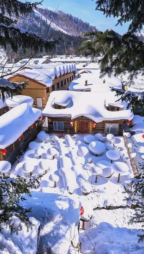 九合群94期：中国第一雪乡||巴彦诗协【1251】（图11）