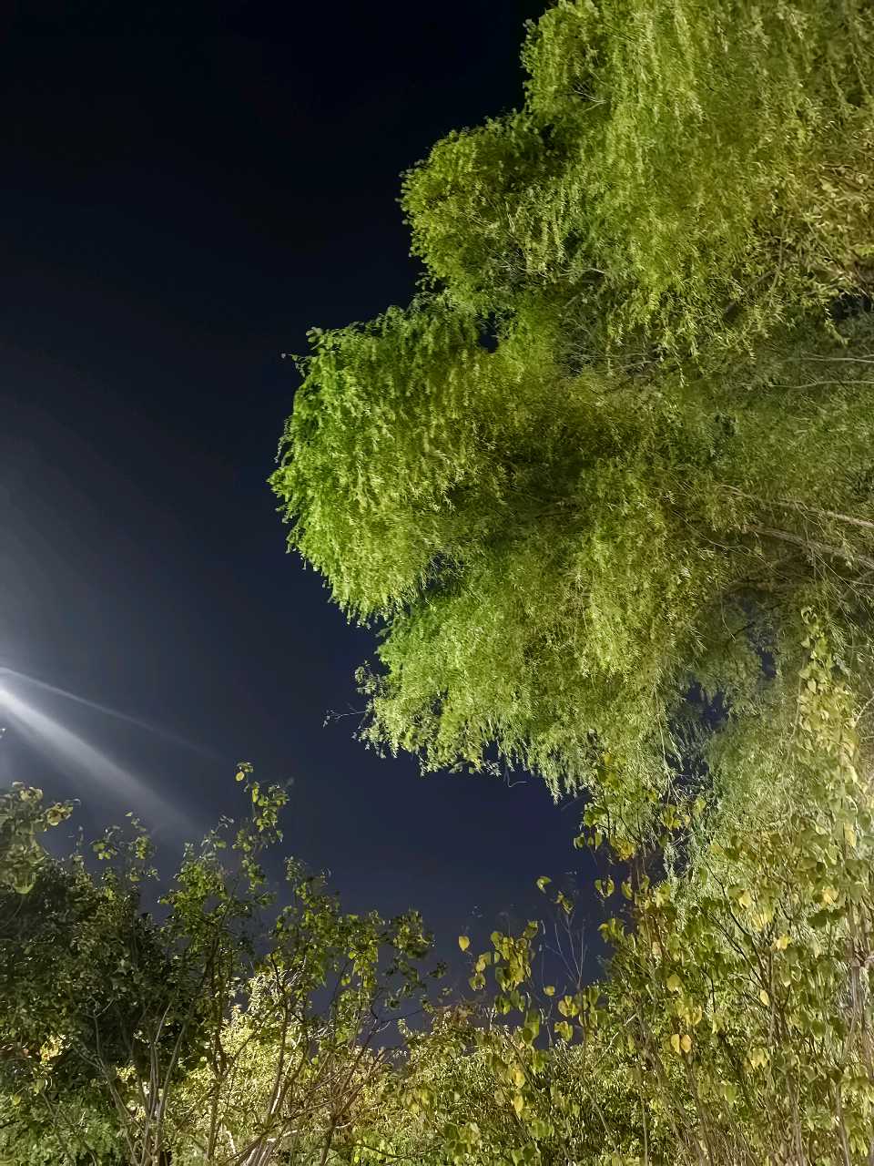 《名也 利也》 程建刚