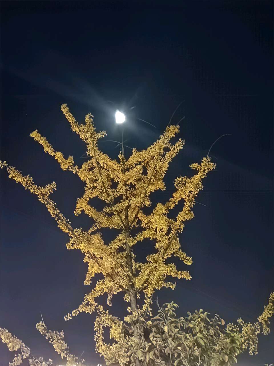 《名也 利也》 程建刚（图3）