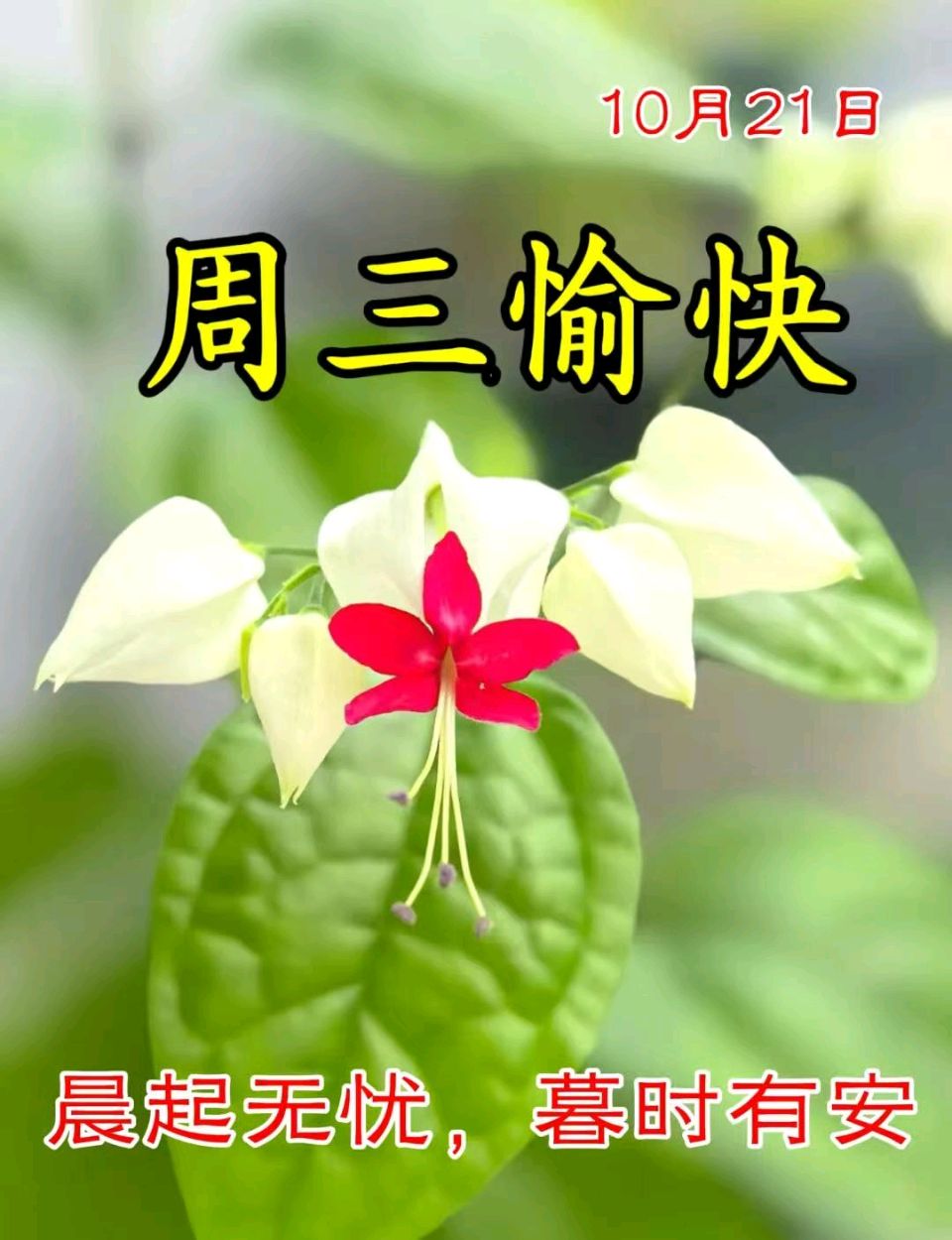 【北京头条】李思義现代诗歌专辑146期(图5)