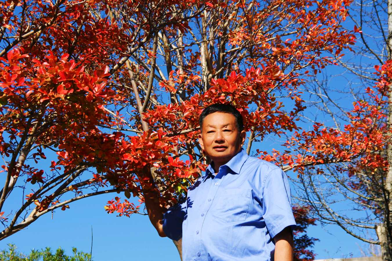 重阳吟雅韵，两地结诗缘——丽江清风诗社与鹤庆朝霞书院重阳联谊记（图13）