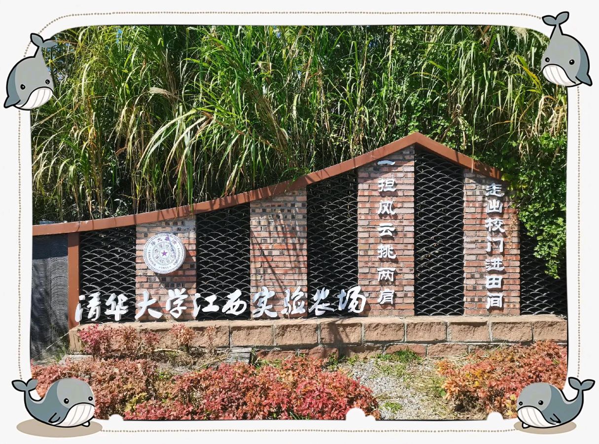 【北京头条】吴新生诗歌专辑067期(图3)