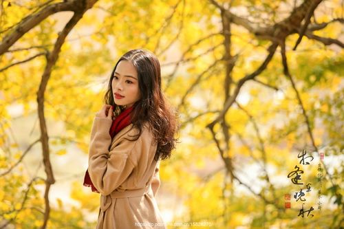 【北京头条】刘兆林诗歌专辑017期（图3）