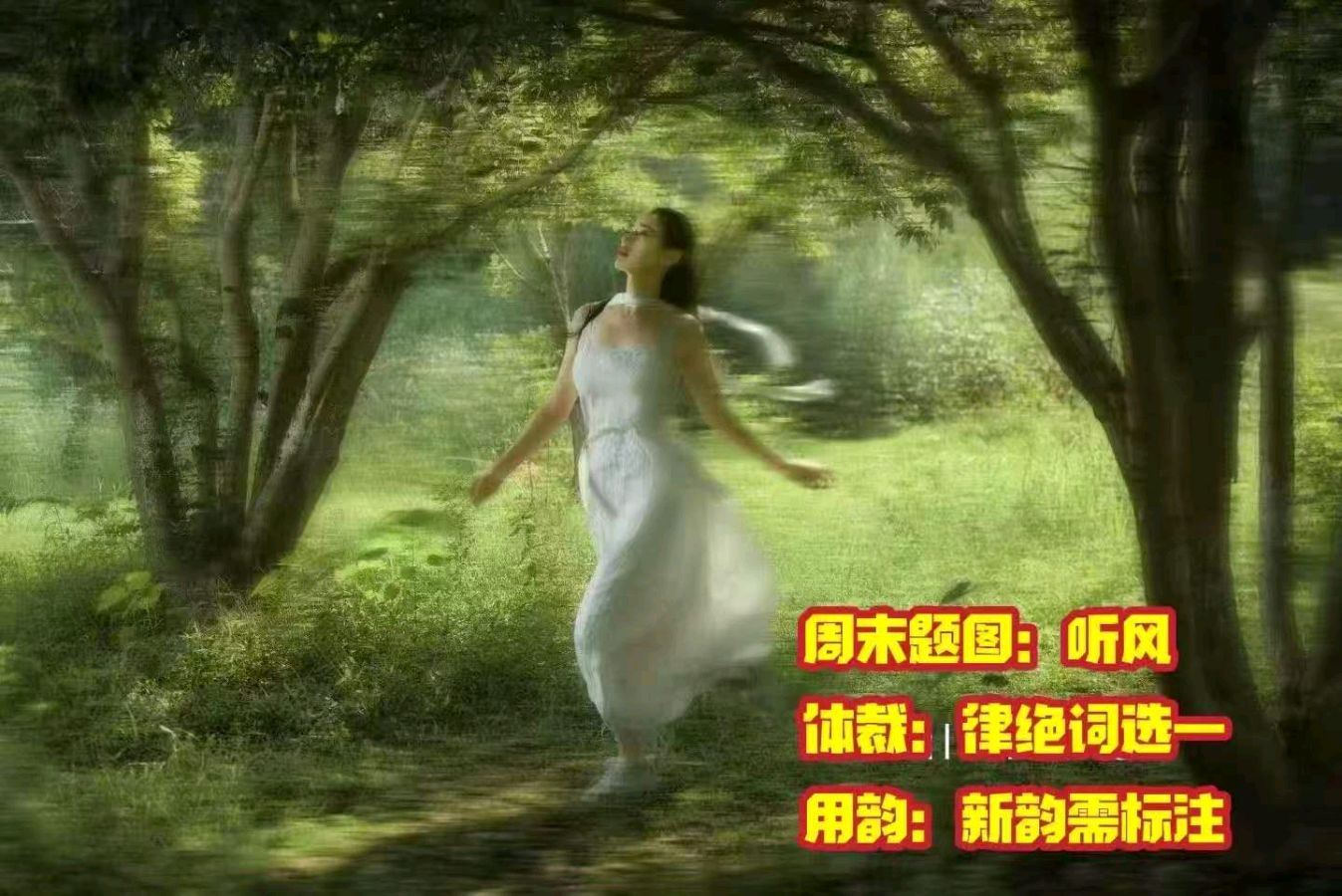 【北京头条】周代玉诗歌专辑018期（图5）