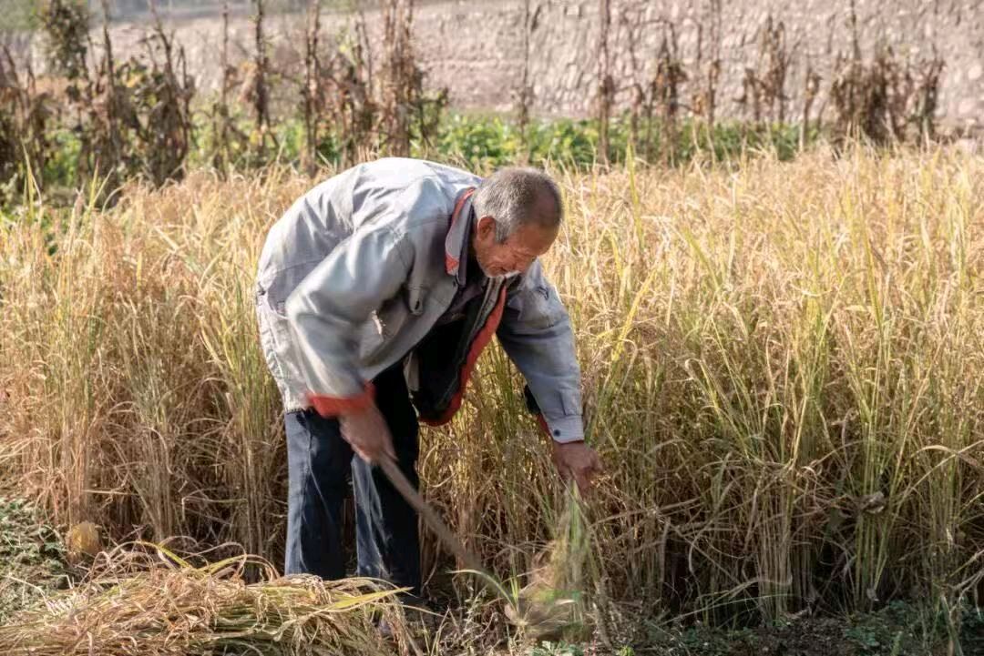 【北京头条】周代玉诗歌专辑018期（图3）