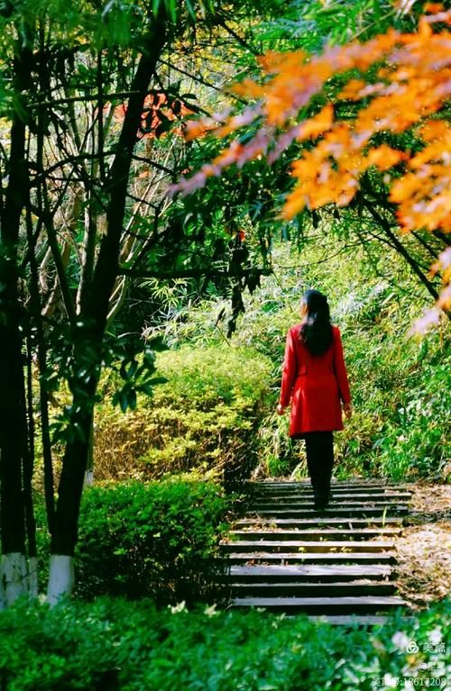 【北京头条】曹赟诗歌专辑262期（图3）