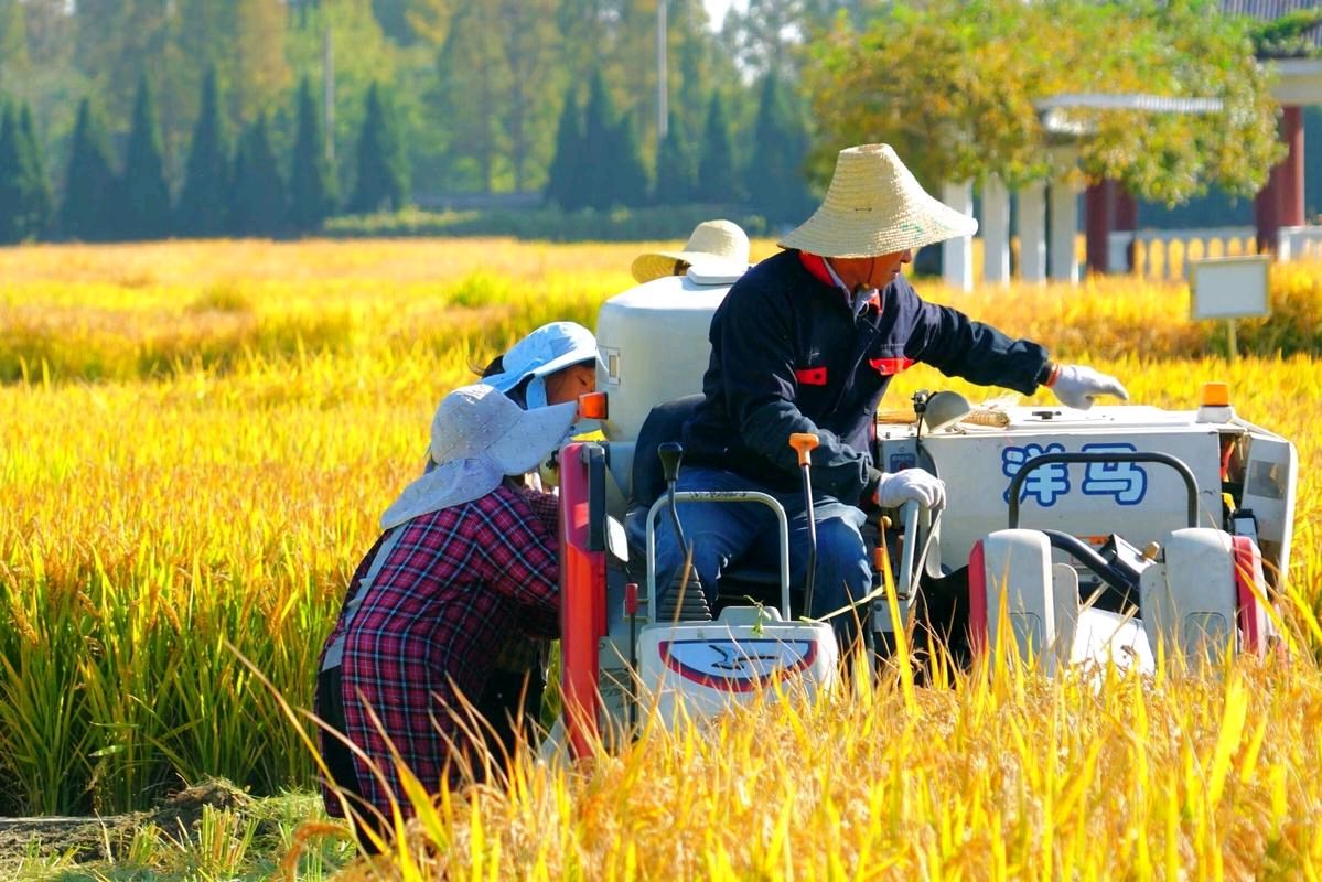 【北京头条】石景章诗歌专辑099期（图7）