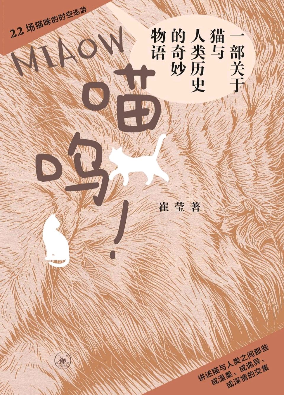 万物皆有灵，喵呜暖余生——观《喵呜》读书分享会有感