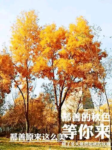 北京古塔读书会 ‖ 同题诵读《持久的力量》作者/马文振 朗诵/北京古塔读书会朗读者（图10）