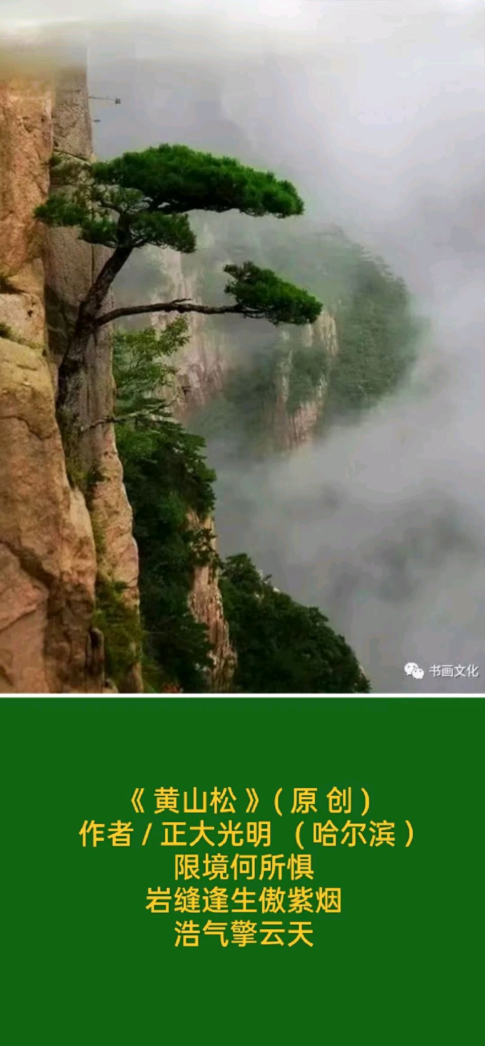 题图微诗三首/作者/正大光明（哈尔滨）（图3）