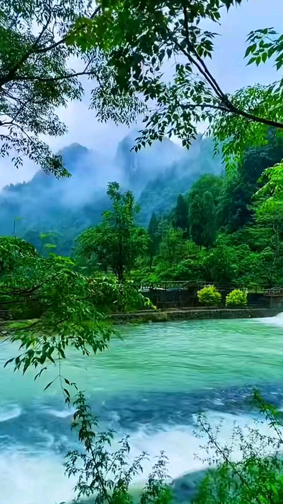 自由体《羊亭湿地秋行》文/郑金波