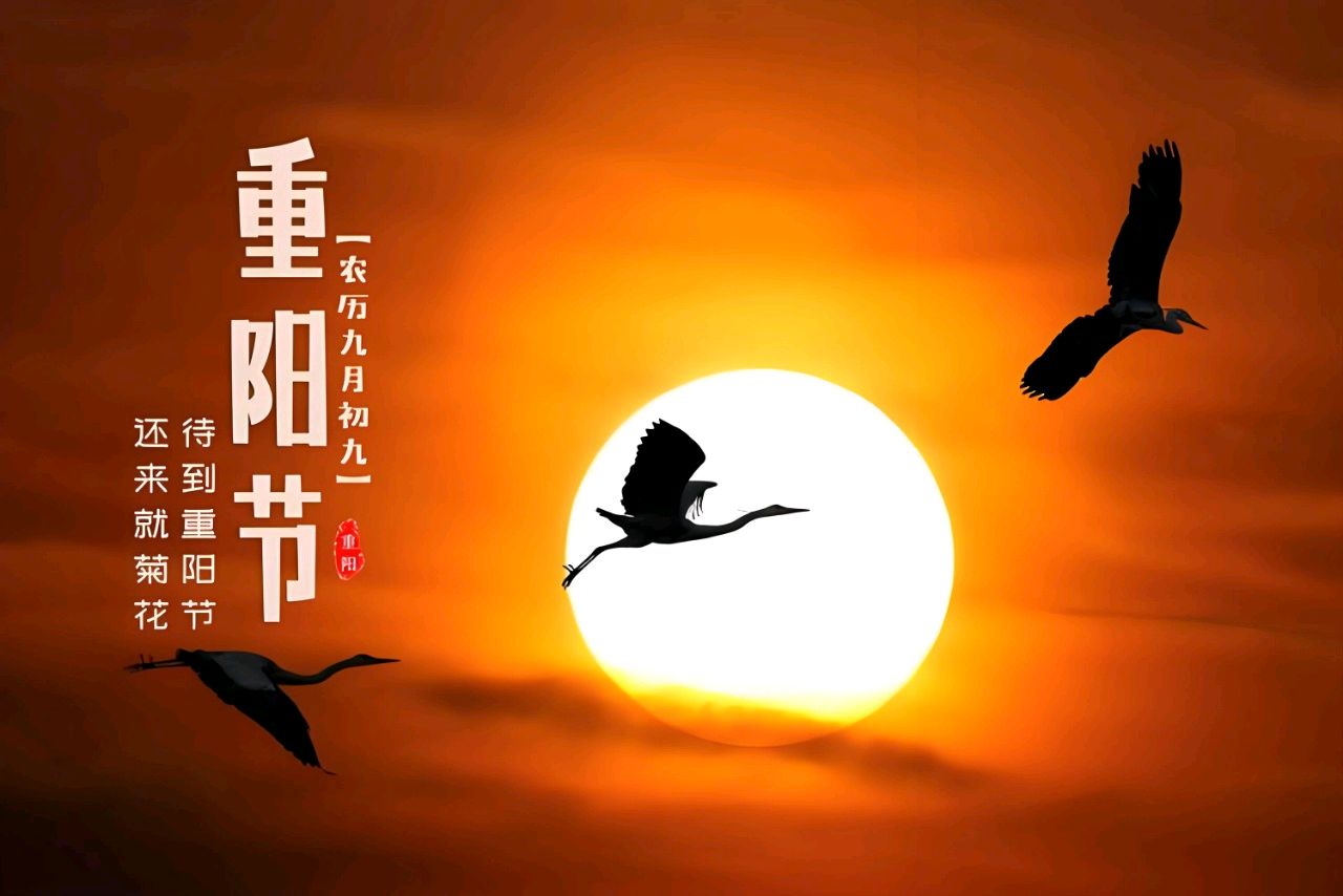 【荣耀中国】文学社*张传训诗词欣赏（图5）