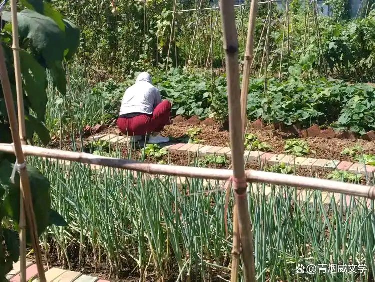 李赤宇《七律·故乡庄稼院》（图2）