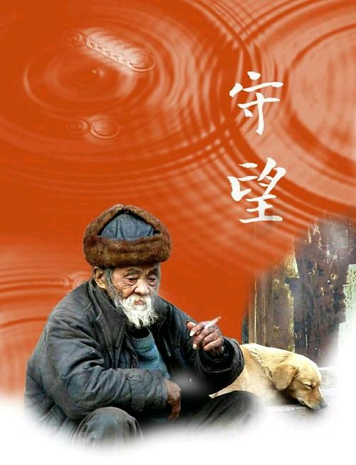 【中篇小说】空巢与空城（下篇）作者/泄宣和（陕西三原）（图2）