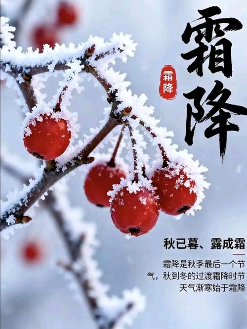 刘凤亭：霜降||巴彦诗协【1255】（图3）