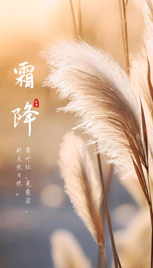 刘凤亭:霜降||巴彦诗协【1255】(图6)