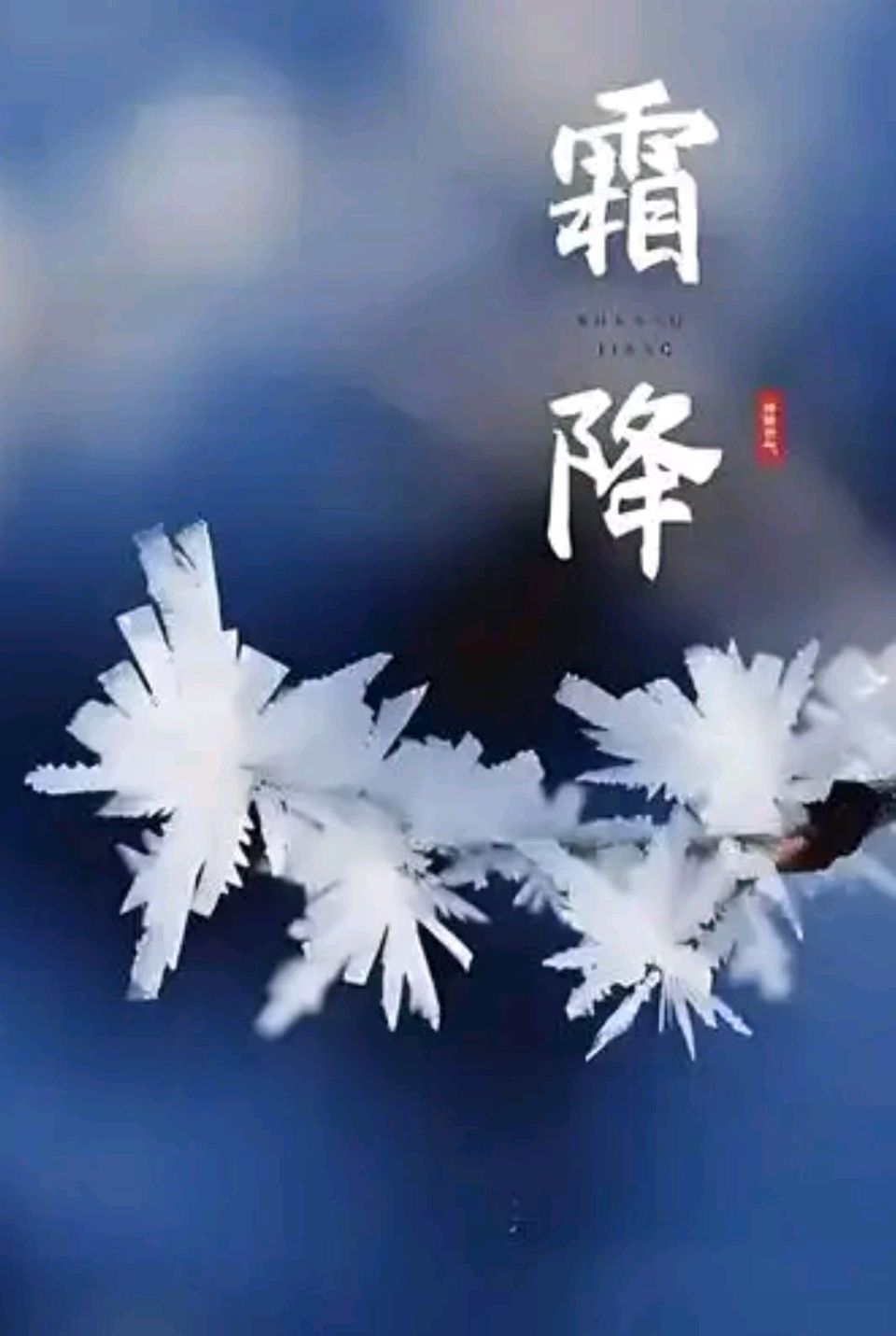 【荣耀中国】文学社*七律•霜降时节作者/知竹（图2）