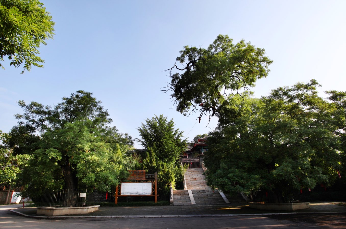 山东滕州:让本土风景呈现更多诗情画意003(滕国故城)(图7)
