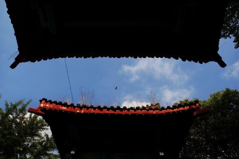 山东滕州:让本土风景呈现更多诗情画意003(滕国故城)(图8)
