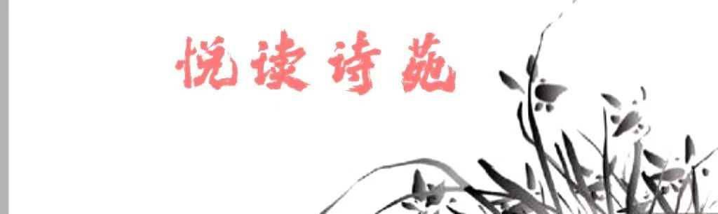 纪念红军长征胜利90周年专刊【不朽的长征】作者姜鹏 合诵青荷 香悦 立平 文娟 东起 知庸（图8）