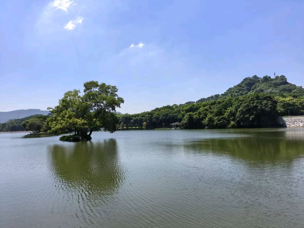 作家黄纯斌散文欣赏:麒麟山下旧雨情(图2)