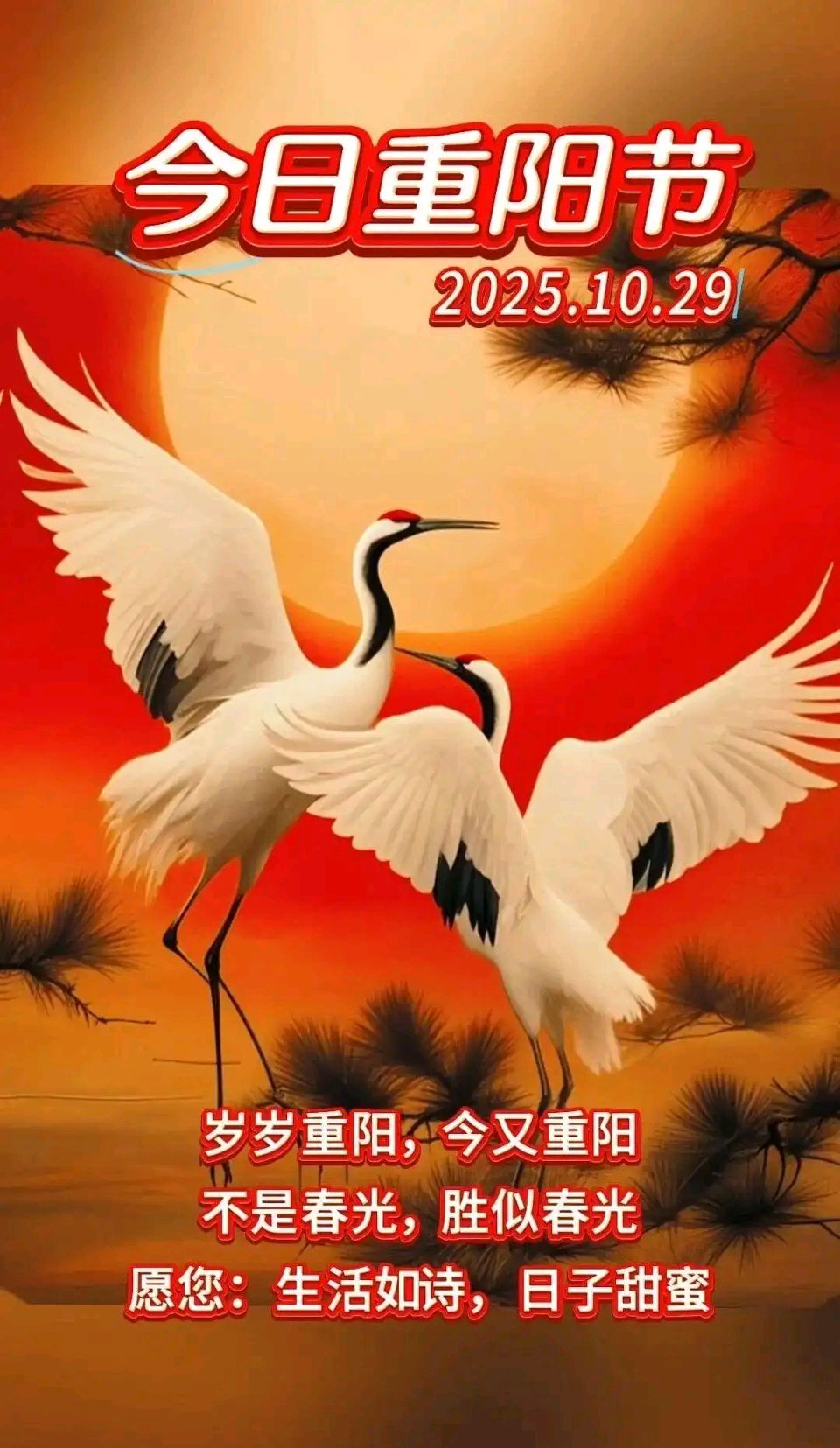 【新山东文学社】《令词吟唱庆重阳（十二首）》作者/江淮闲客 主播/天空（图3）