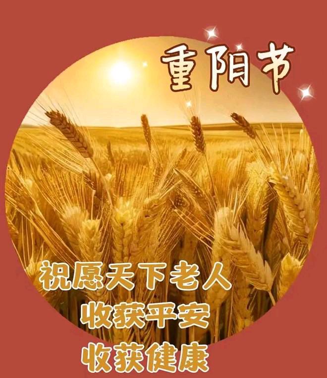 【新山东文学社】《令词吟唱庆重阳（十二首）》作者/江淮闲客 主播/天空（图5）