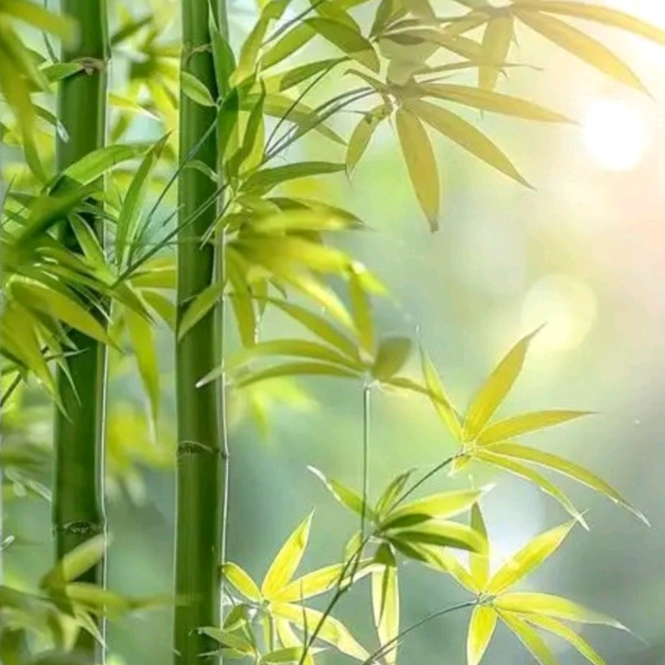 广东省写作学会许峰文艺研究院专业委员会｜邹中海主任近期佳作欣赏【总第409期】（图2）