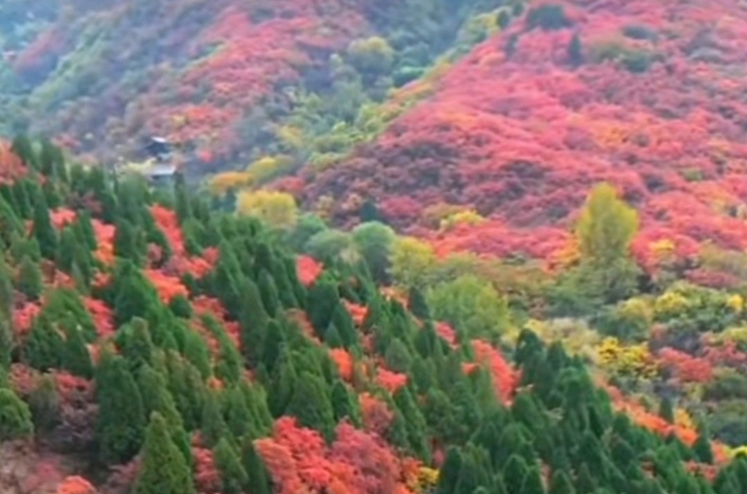 诗词十二首 作者：丁绍先 都市头条——银川头条（图2）