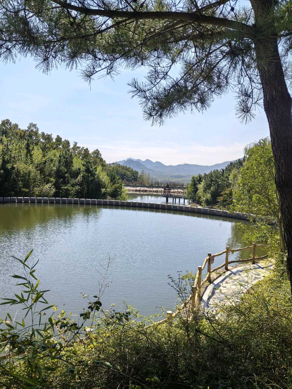 王茂辉秋登龙潭湖秋林枫叶半坡居，归雁云天笑意舒。结友登台观库水，唱歌吟曲画穹庐。河飞白鹭沙洲乐，谷辟平畴稼穑馀。心喜风光开视野，三杯浊酒醉翻书。