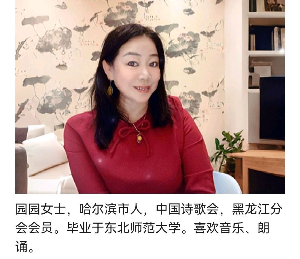 《多棱镜·“走失”（组诗）》作者：石子 诵读：园园 [中国现代诗歌文化传媒]（图12）