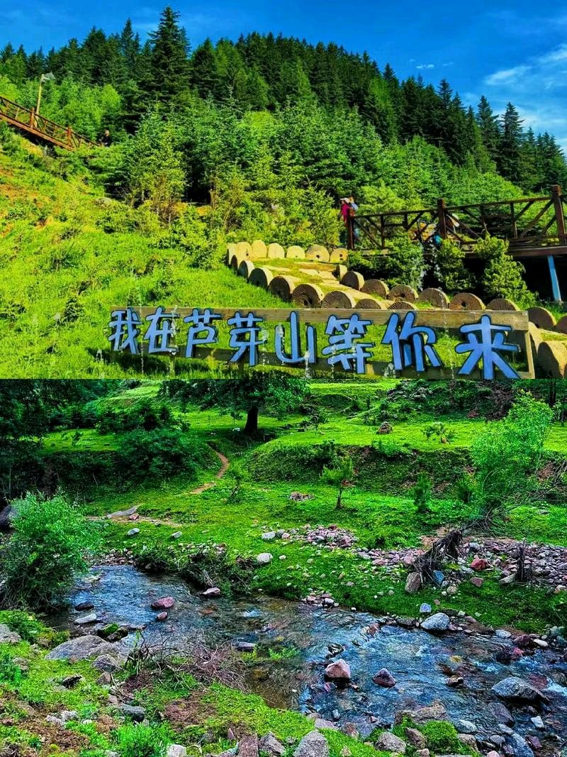 《七律：芦芽山景区》文/王巧英——内蒙古诗人