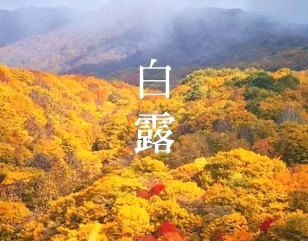 诗韵佳园《俊侠清吟》精品诗专刊(第11期)名家点评(图9)