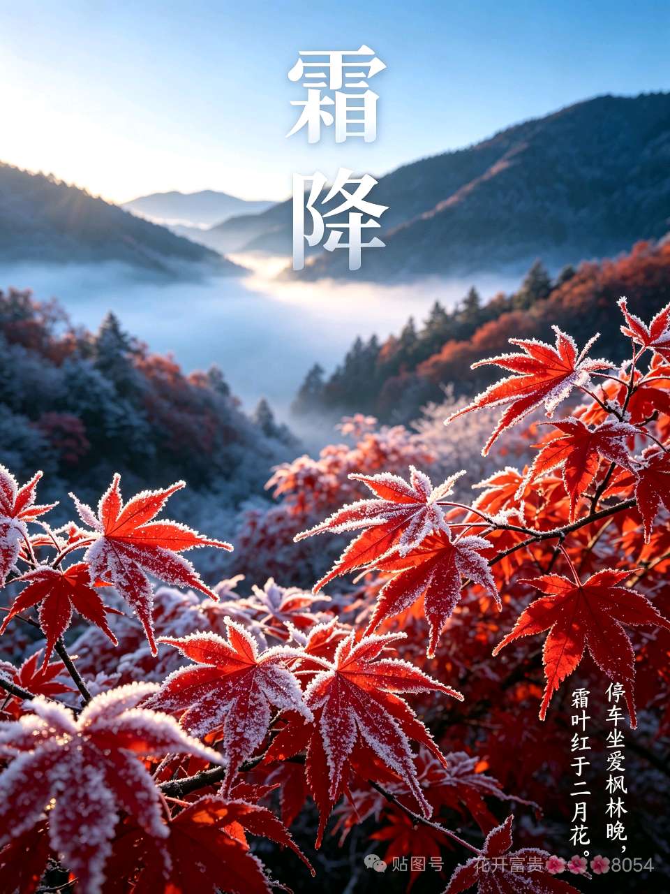 《海天诗画》名家精品疏影·霜降吟怀（外一首）（姜夔体）词‖平安是福（张福安）（图2）